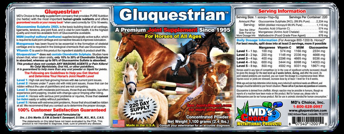Gluquestrian